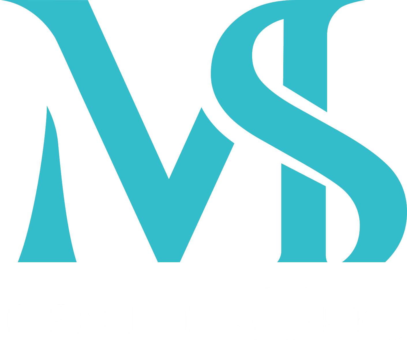 MS Dental Works